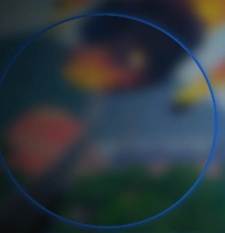 FOV circle drawn in game